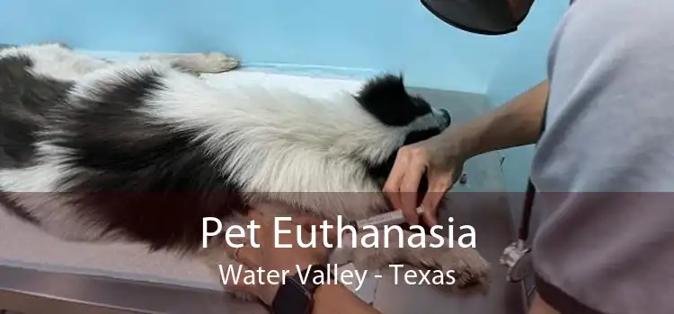 Pet Euthanasia Water Valley - Texas