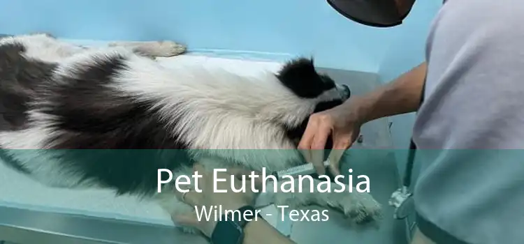 Pet Euthanasia Wilmer - Texas
