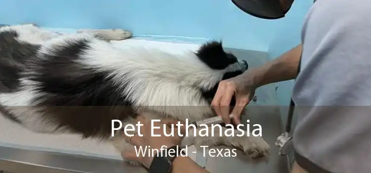 Pet Euthanasia Winfield - Texas