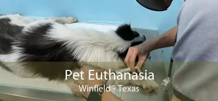 Pet Euthanasia Winfield - Texas