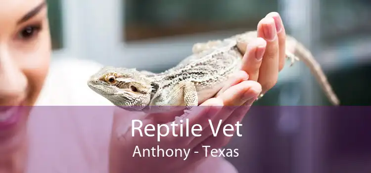 Reptile Vet Anthony - Texas