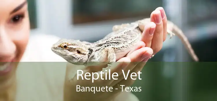 Reptile Vet Banquete - Texas