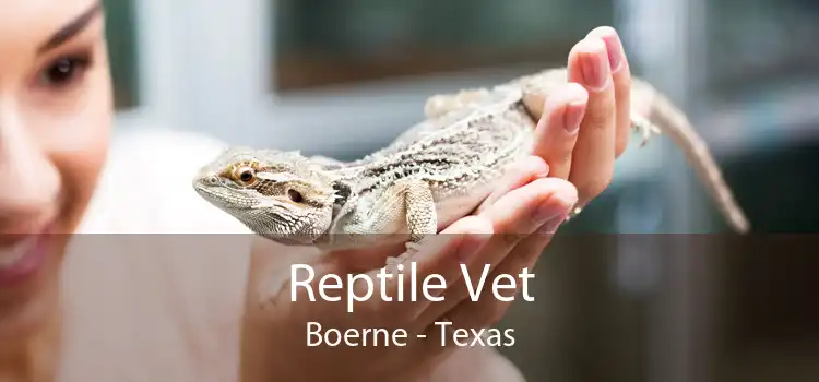 Reptile Vet Boerne - Texas