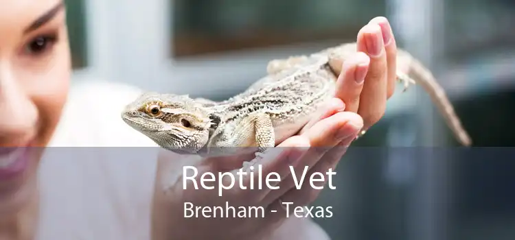 Reptile Vet Brenham - Texas