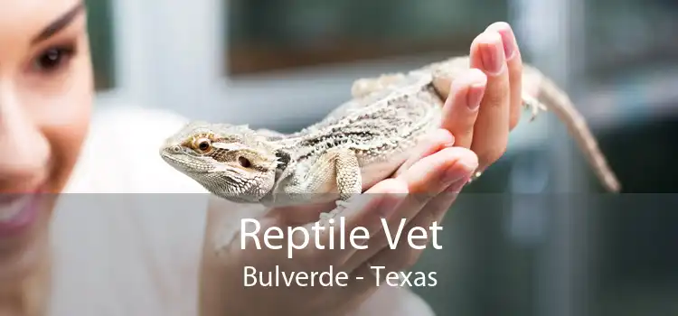 Reptile Vet Bulverde - Texas