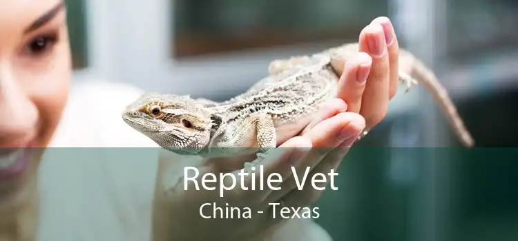Reptile Vet China - Texas
