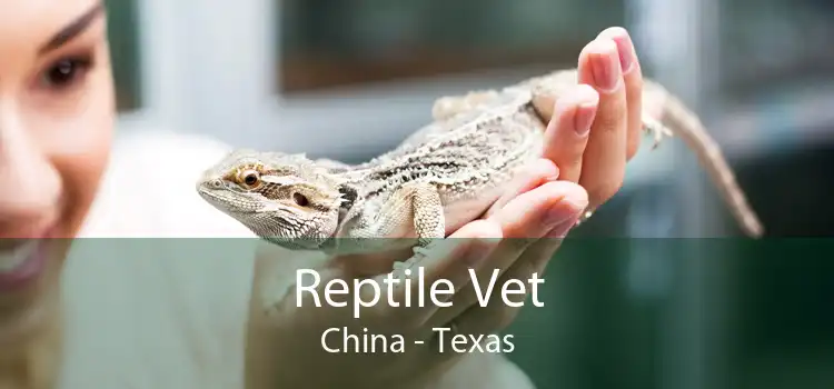 Reptile Vet China - Texas