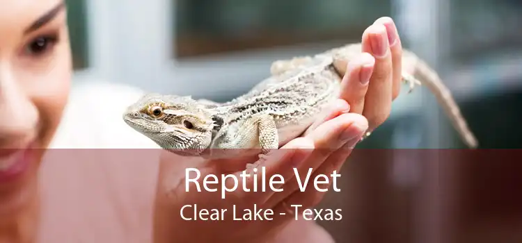 Reptile Vet Clear Lake - Texas