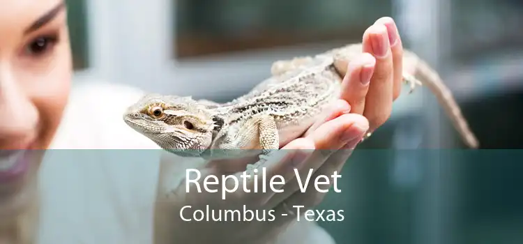 Reptile Vet Columbus - Texas