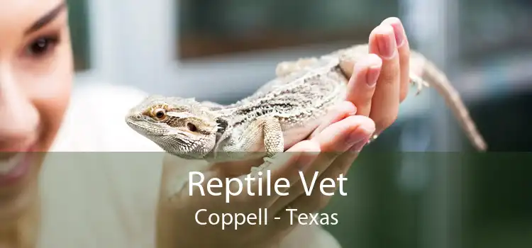 Reptile Vet Coppell - Texas