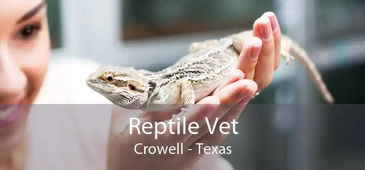 Reptile Vet Crowell - Texas