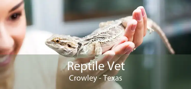 Reptile Vet Crowley - Texas