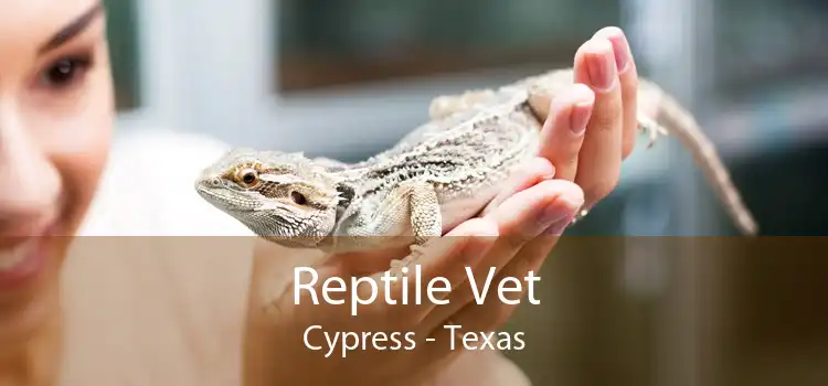 Reptile Vet Cypress - Texas