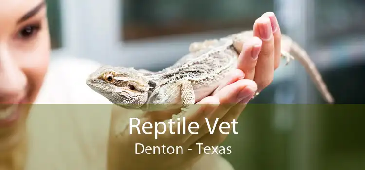 Reptile Vet Denton - Texas