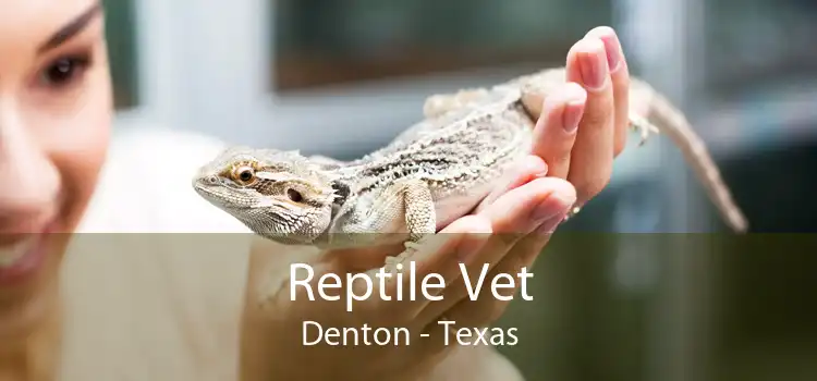 Reptile Vet Denton - Texas