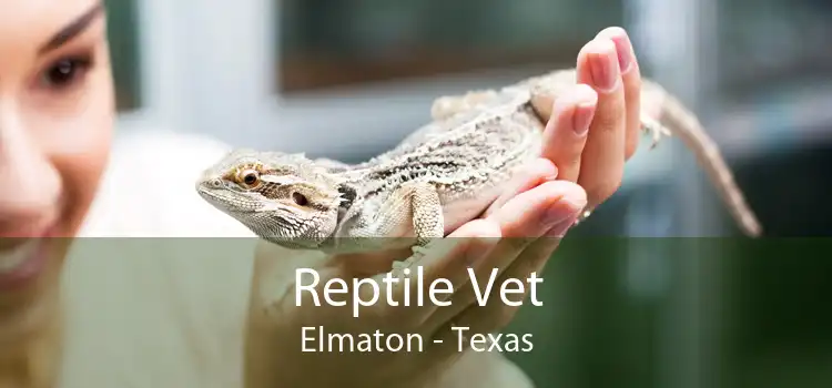 Reptile Vet Elmaton - Texas