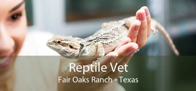 Reptile Vet Fair Oaks Ranch - Texas