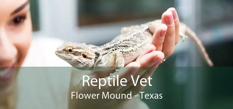 Reptile Vet Flower Mound - Texas