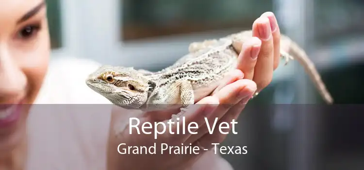 Reptile Vet Grand Prairie - Texas