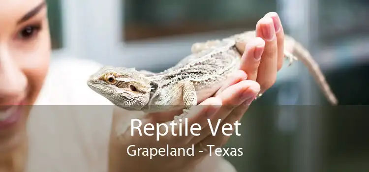 Reptile Vet Grapeland - Texas