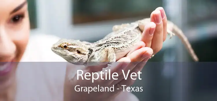 Reptile Vet Grapeland - Texas