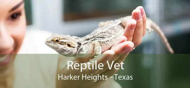 Reptile Vet Harker Heights - Texas