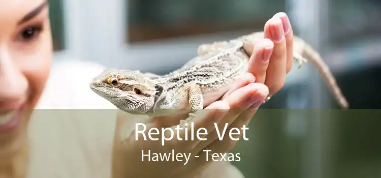 Reptile Vet Hawley - Texas