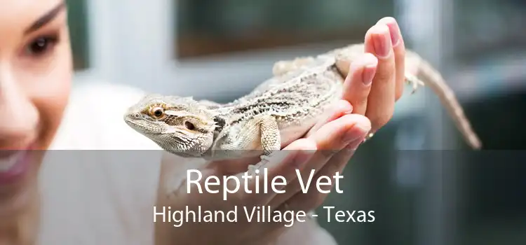 Reptile Vet Highland Village - Texas