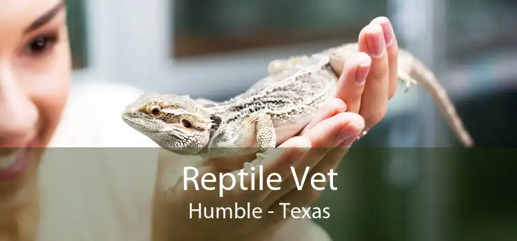 Reptile Vet Humble - Texas