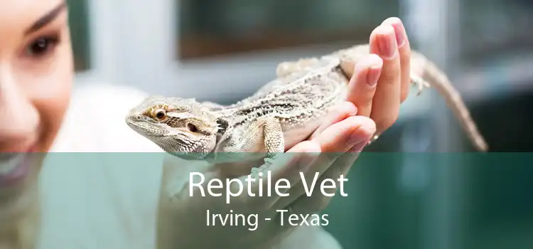 Reptile Vet Irving - Texas