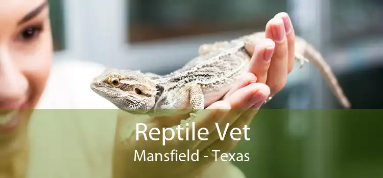 Reptile Vet Mansfield - Texas