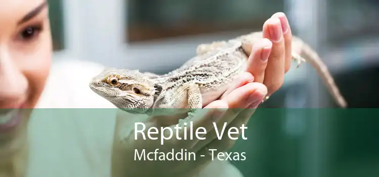 Reptile Vet Mcfaddin - Texas