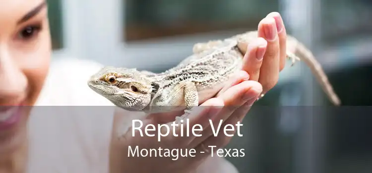 Reptile Vet Montague - Texas