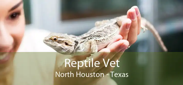 Reptile Vet North Houston - Texas