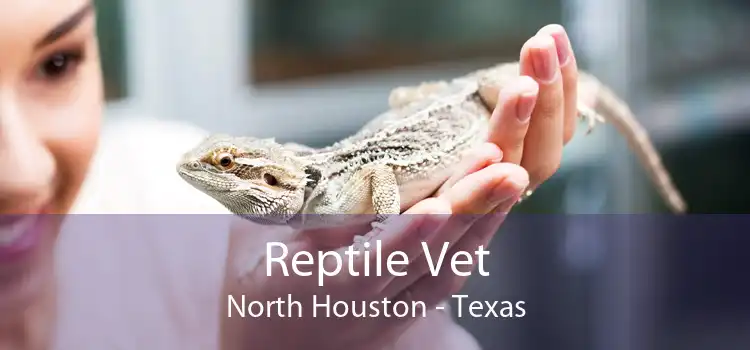 Reptile Vet North Houston - Texas