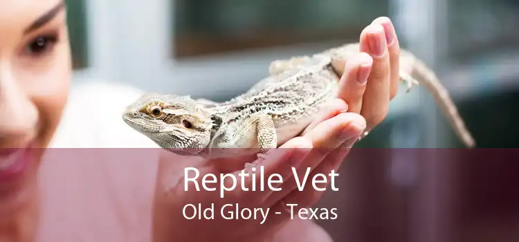 Reptile Vet Old Glory - Texas