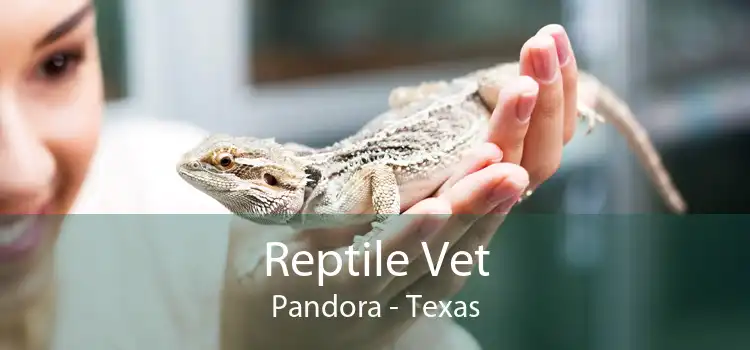 Reptile Vet Pandora - Texas