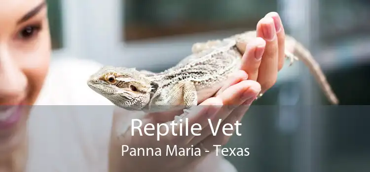 Reptile Vet Panna Maria - Texas