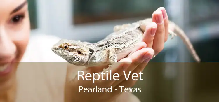 Reptile Vet Pearland - Texas