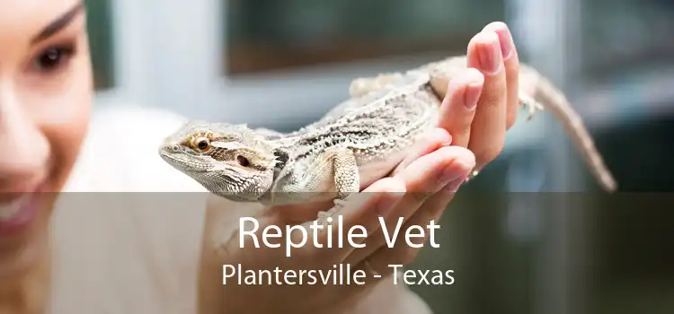 Reptile Vet Plantersville - Texas