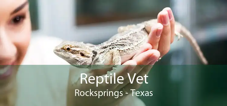 Reptile Vet Rocksprings - Texas