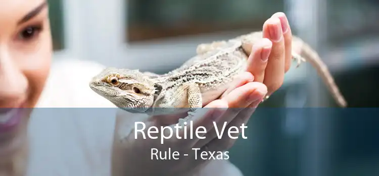 Reptile Vet Rule - Texas