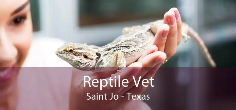 Reptile Vet Saint Jo - Texas
