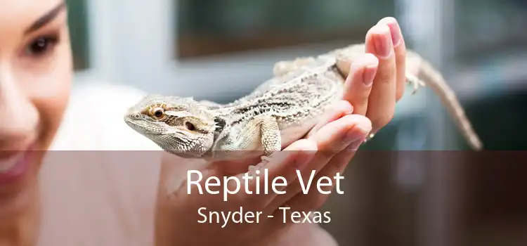 Reptile Vet Snyder - Texas