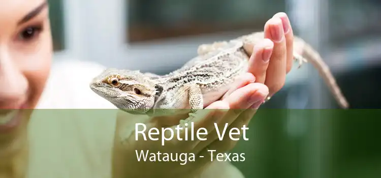 Reptile Vet Watauga - Texas