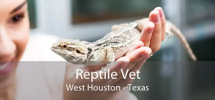 Reptile Vet West Houston - Texas
