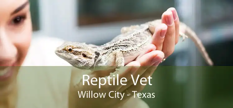 Reptile Vet Willow City - Texas