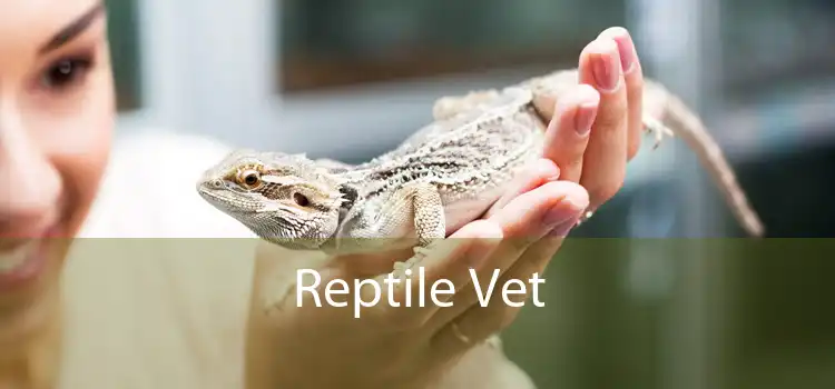 Reptile Vet 