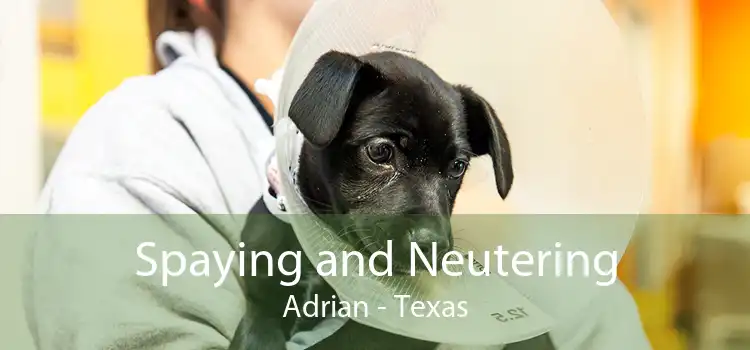 Spaying and Neutering Adrian - Texas