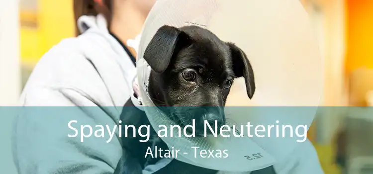 Spaying and Neutering Altair - Texas